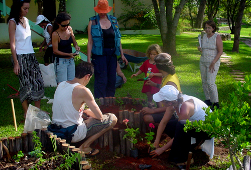 Curso de Jardins Terapêuticos ensina técnicas de plantio orgânico e soluções sustentáveis
