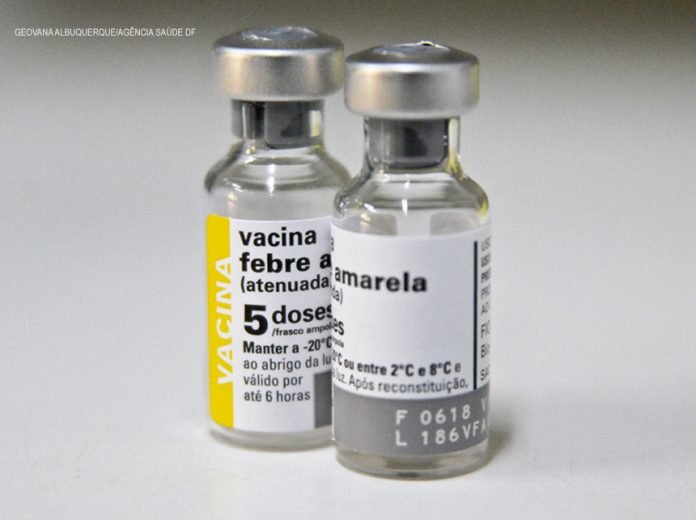 Febre amarela pode ser prevenida com vacina