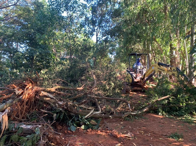 PMDF flagra desmatamento irregular em Sobradinho